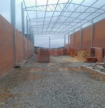 6f Verme 9 (2)